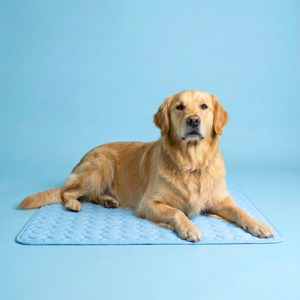 ❄️🐶 So bleibt Ihr Hund den ganzen Sommer über schön kühl – die „Instant Ice-Silk“-Kühlmatte für sofortigen Komfort! 🐾🔥