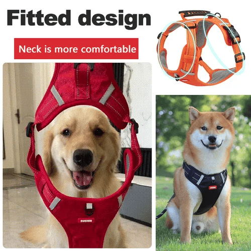 Tug-Free Dog Walking Harness