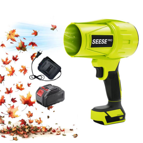 PowerClean – Instant Shine Cleaning Formula