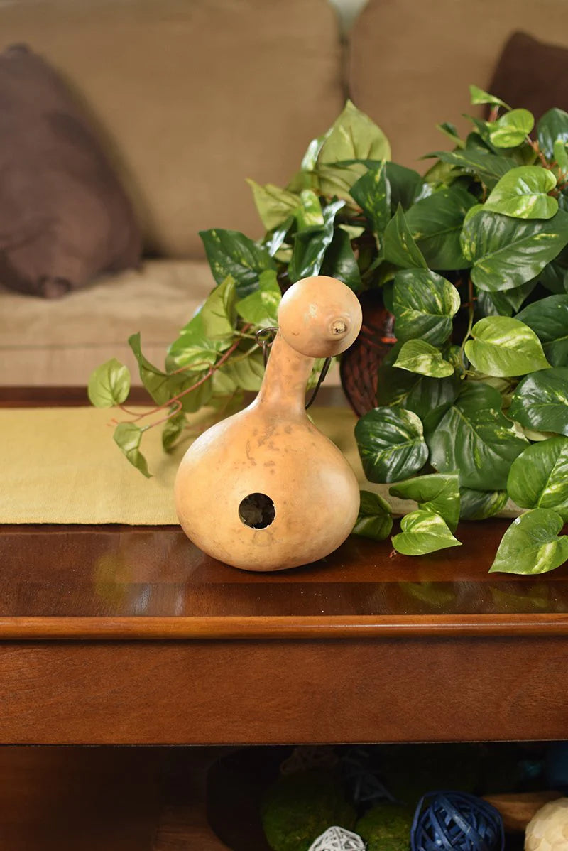 BirdHaven – Natural Gourd Birdhouse Set