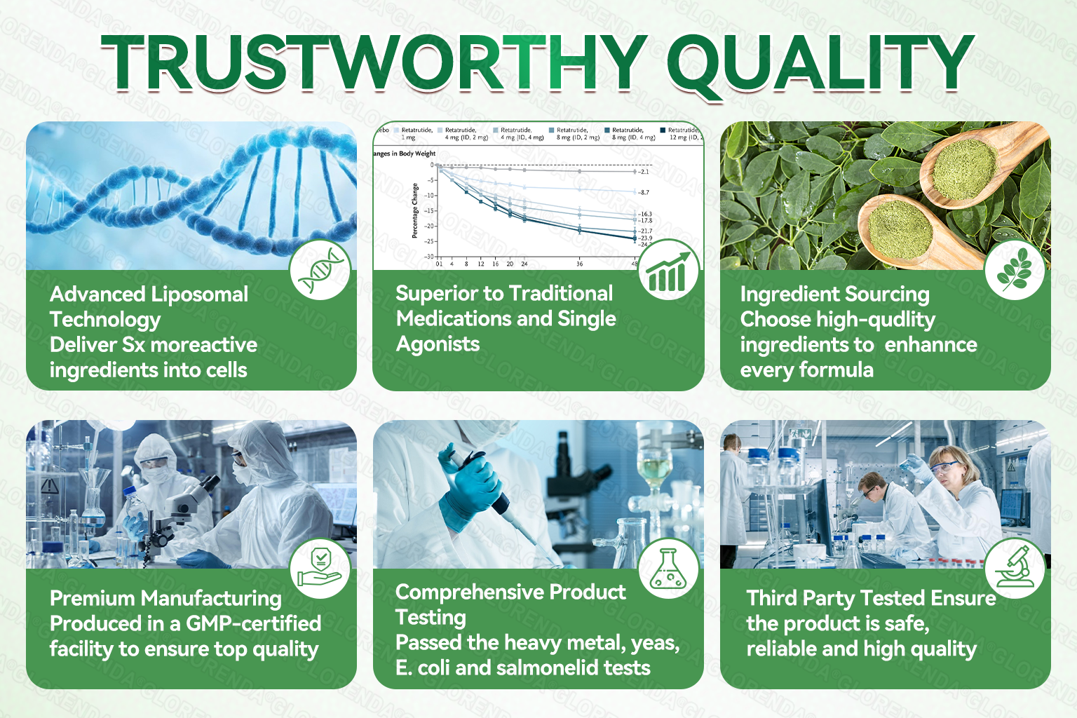 NanoLift – Advanced Microneedle Patches