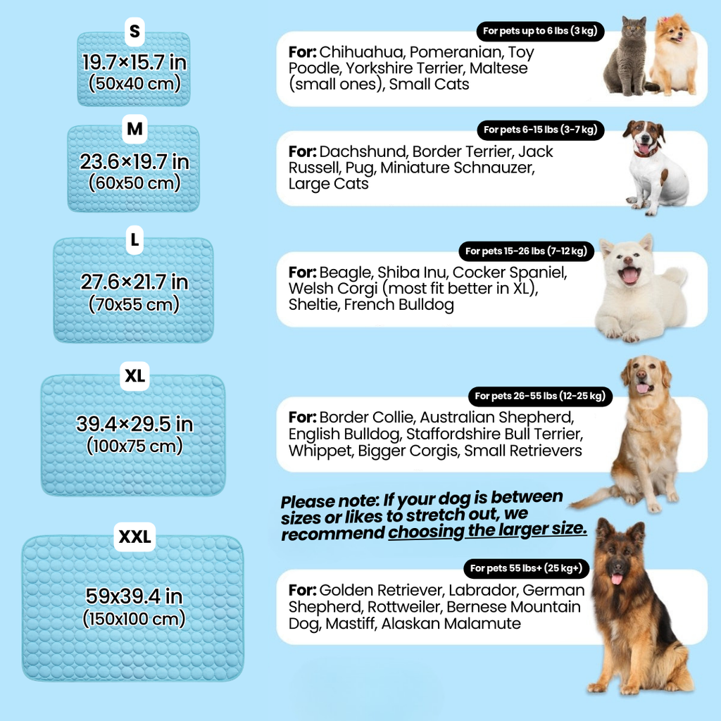 ❄️🐶 So bleibt Ihr Hund den ganzen Sommer über schön kühl – die „Instant Ice-Silk“-Kühlmatte für sofortigen Komfort! 🐾🔥