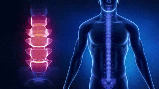 PosturePro – Back Stretching Device