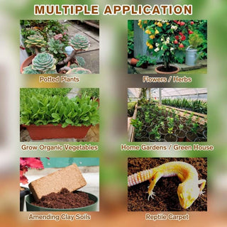 CocoBloom – Organic Coconut Coir Bricks for Healthy Plant Growth