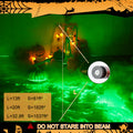 Green Swamp🟢