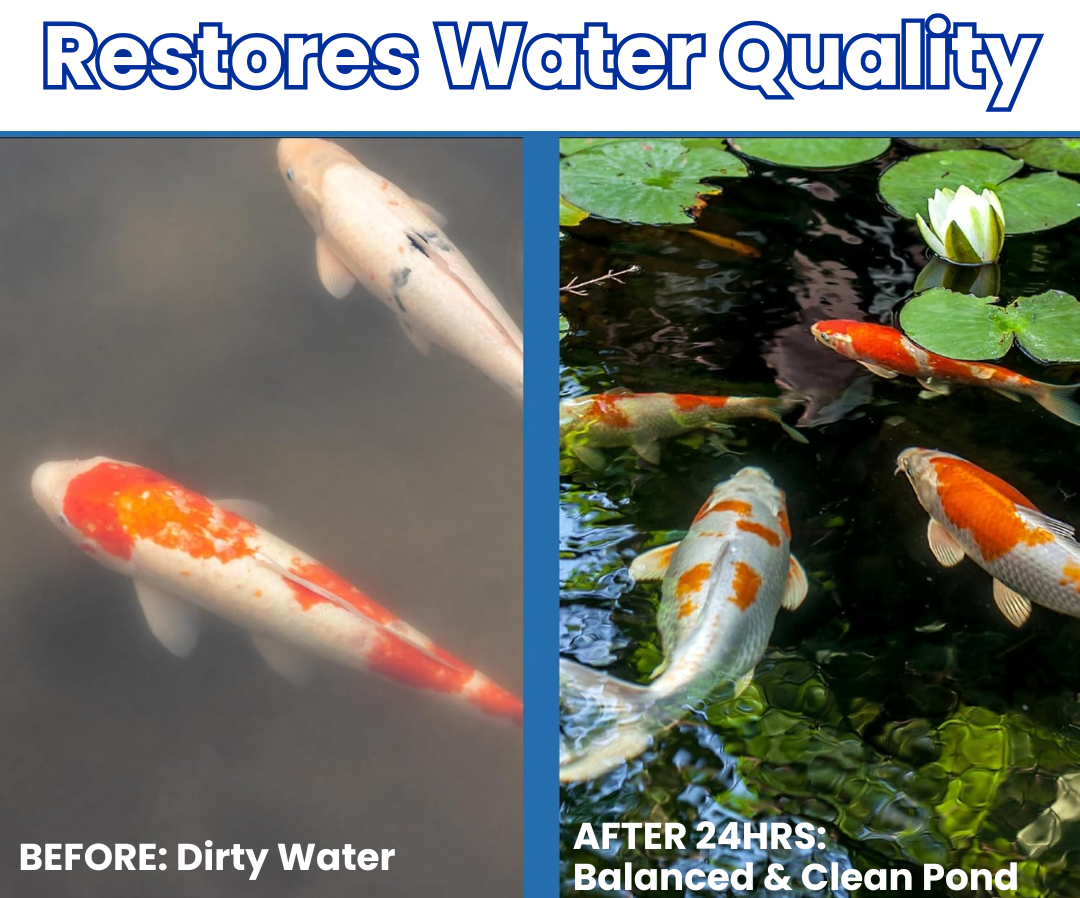HydroCore – Dual Bio Pond Cleaner
