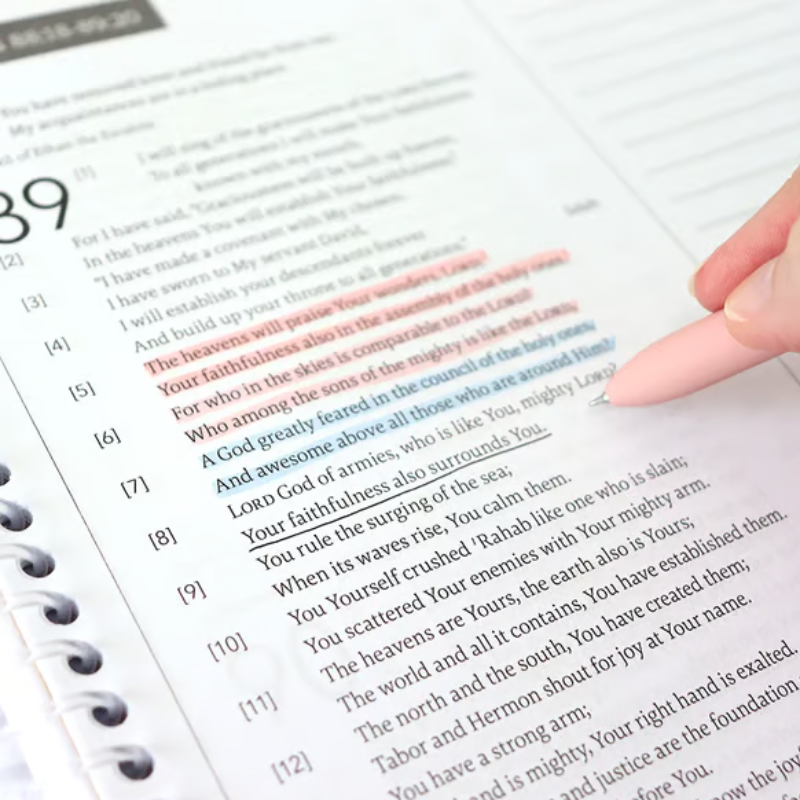 A Year in the Bible – 52-Week Study Hardcover Book