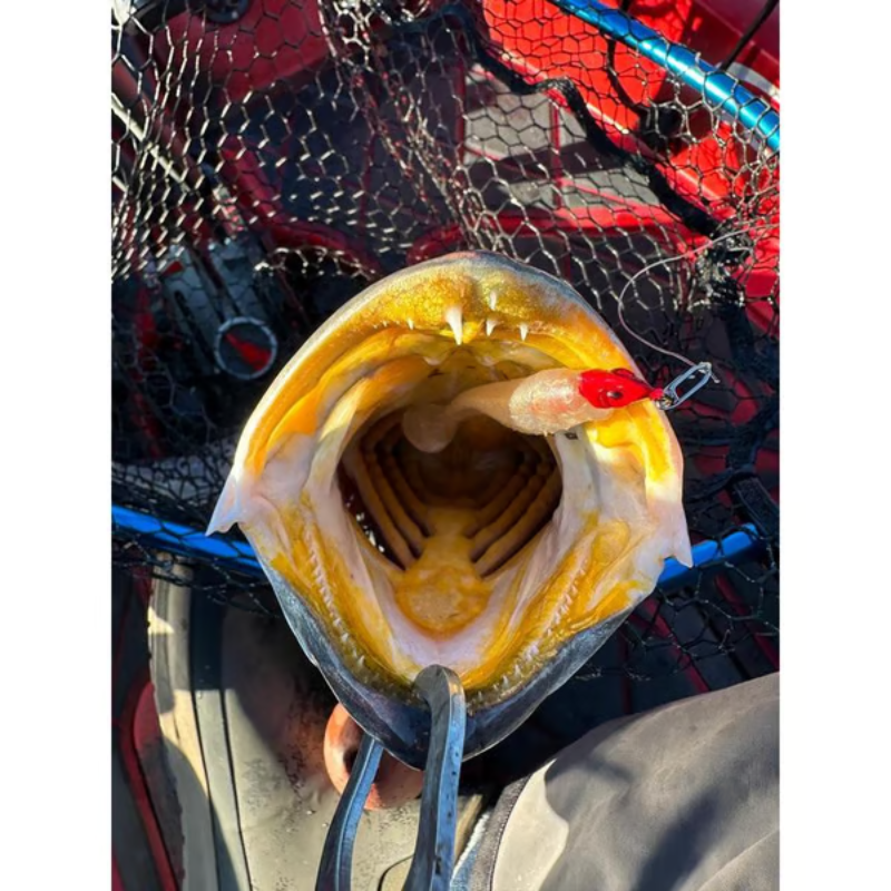 TopwaterCo – Quick Snap Fishing Speed Clips