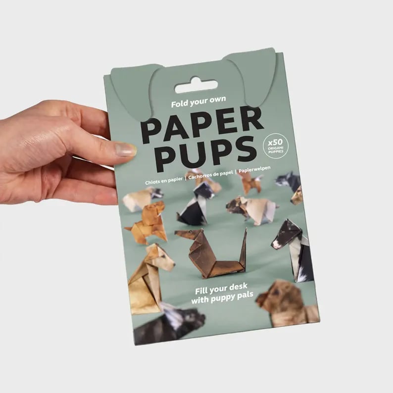 PaperPaws – A Cat Lover’s DIY Paradise