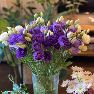 PetalSerenity – Premium Lisianthus Seeds