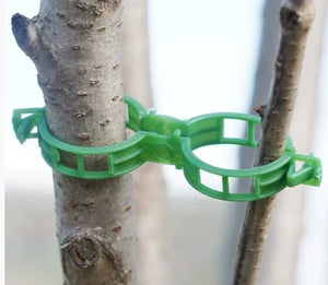 StemHold – Reusable Clips for Upright Plants