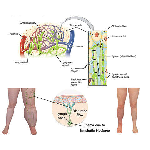 TheraLux - Magnetic Sparkling Ring for Metabolism & Style