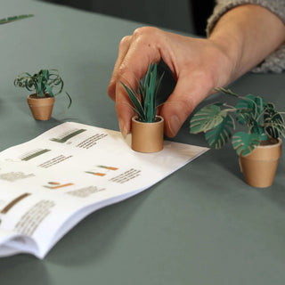 PaperPaws – A Cat Lover’s DIY Paradise