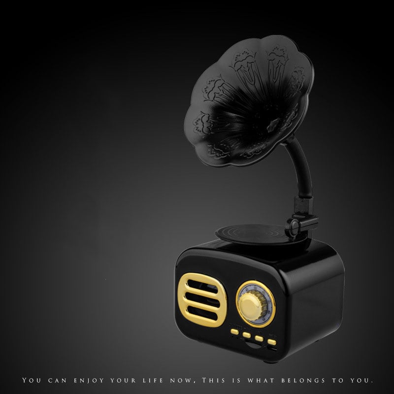 EchoGram - Vintage Wooden Bluetooth Speaker