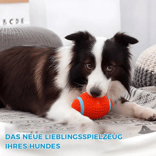 ToughPaw – Durable Chew Ball for Dogs