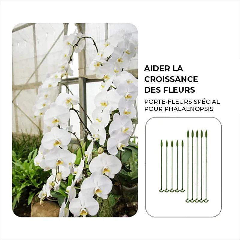 GrowGuard – Plant Support Post