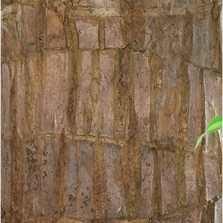 GreenAura - Brazilian Wood Plant