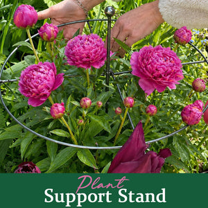 GardenCore – Upright Plant Support Ring