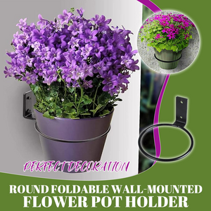 FloralOrbit- Wall Mounted Pot Holder