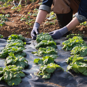 EcoGuard - Ultimate Weed Prevention Fabric