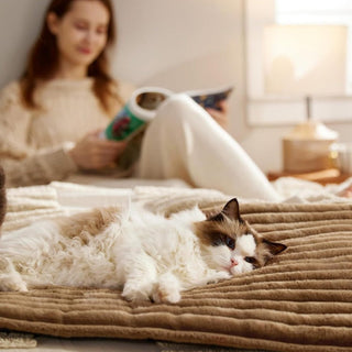 PawTherm – Self Warming Pet Bed