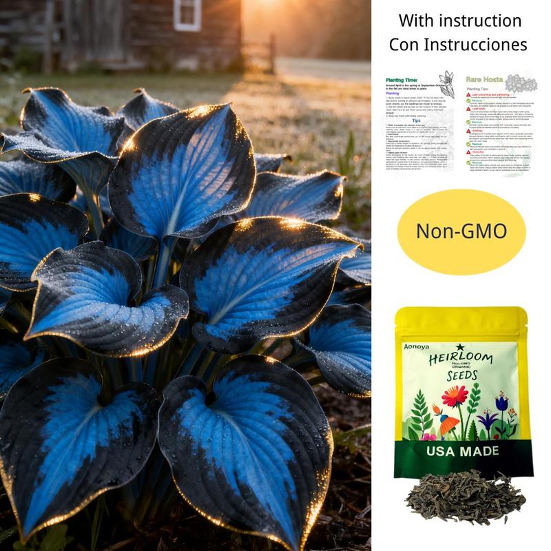 CalmBloom - Perennial Hosta Seeds for Soothing Green Corners