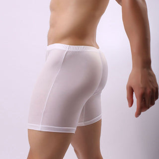 AeroFit – Lightweight Ice Silk Men’s Sports Briefs