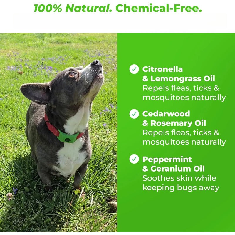 TickGuard – Chemical-Free Repellent Tag