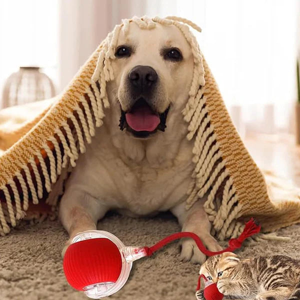 PawGlow - LED Interactive Pet Ball