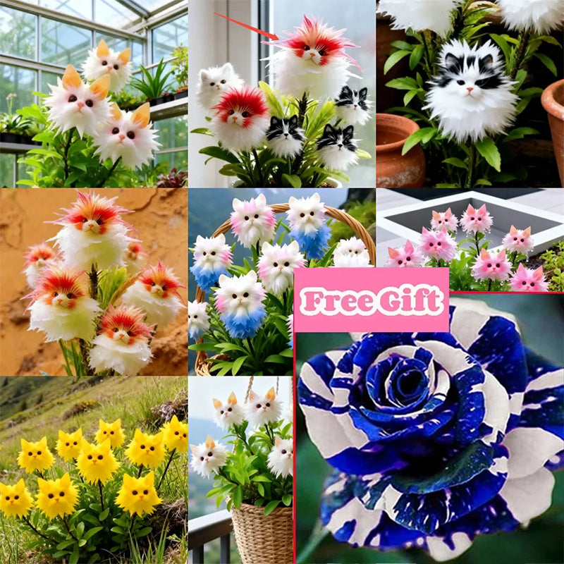 AuraBloom – Magical Cat’s Eye Seeds