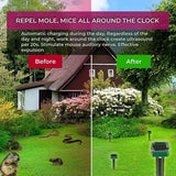 EcoVibe – Ultrasonic Pest Repeller for Lawns and Gardens