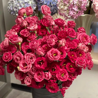 PetalSerenity – Premium Lisianthus Seeds