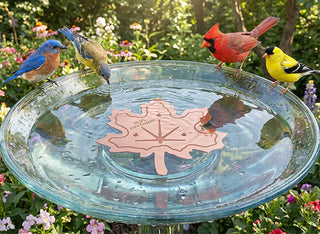 GardenGuard – Copper Algae Control Water Purifier