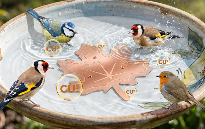 GardenGuard – Copper Algae Control Water Purifier
