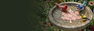 GardenGuard – Copper Algae Control Water Purifier