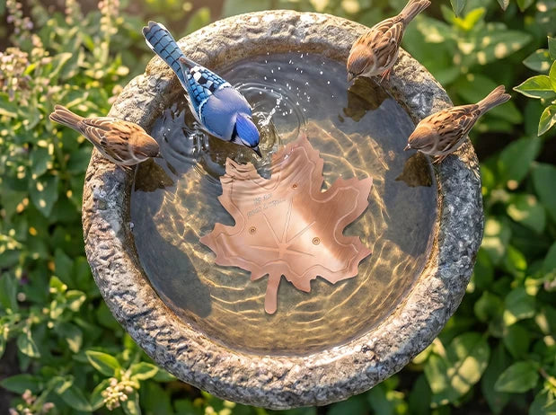 GardenGuard – Copper Algae Control Water Purifier