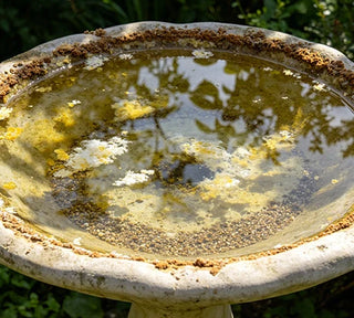 GardenGuard – Copper Algae Control Water Purifier