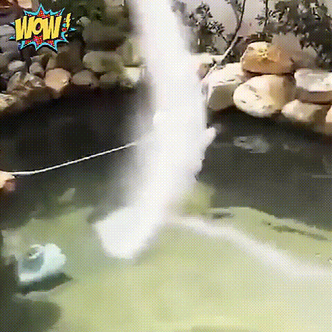 PureTank – Algae Control Powder