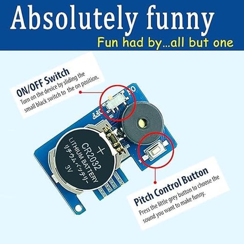 ChirpJoke - Cricket Noise Prank Toy