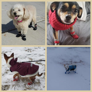 PawShield – Waterproof Pet Shoes