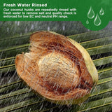 CocoBloom – Organic Coconut Coir Bricks for Healthy Plant Growth