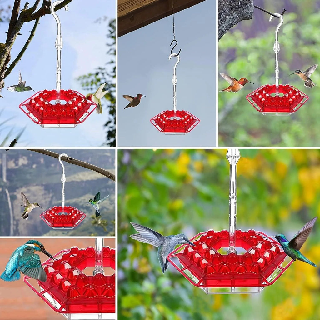 SkySip | Charming Outdoor Hanging Hummingbird Feeder