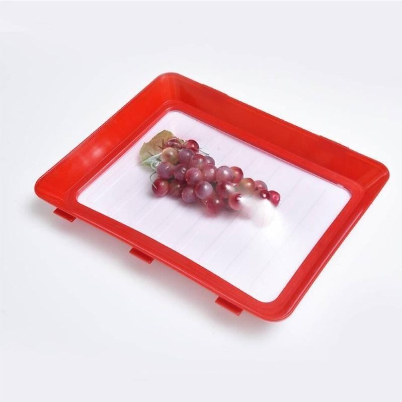 SealMate – Reusable Eco-Friendly Food Preserving Tray
