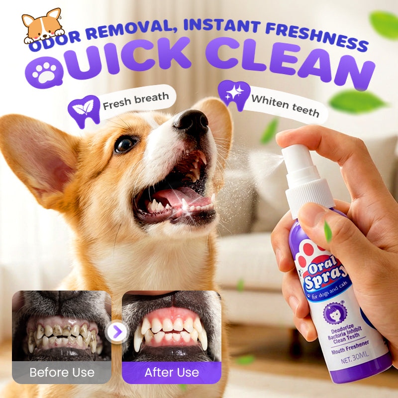 MintyPaws - Easy Spray Oral Cleanser