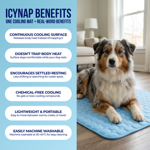 PolarComfort – Breathable Pet Cooling Bed
