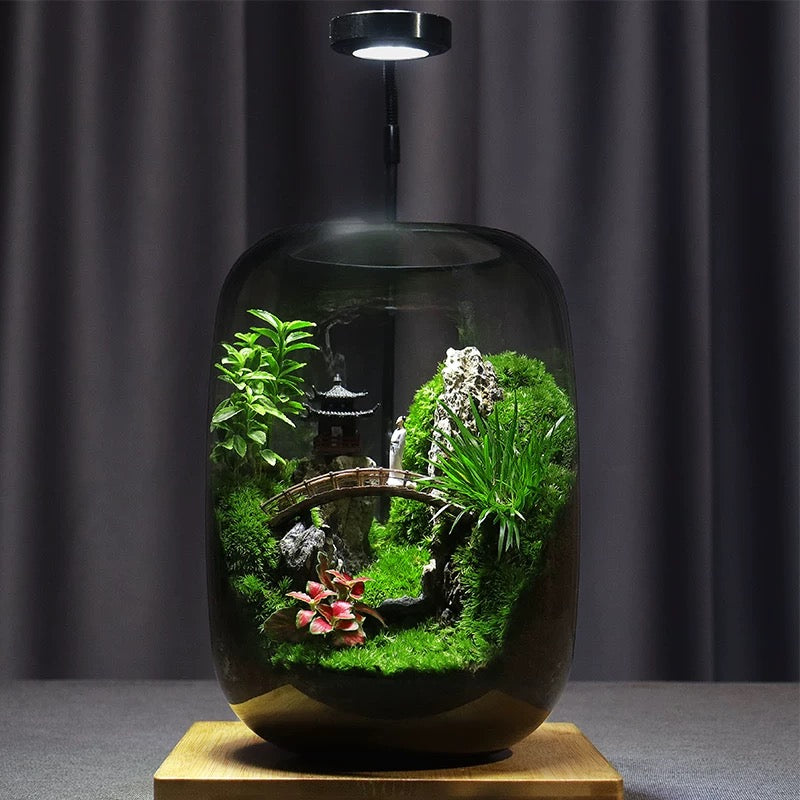 LushVista - Moss Landscape Display