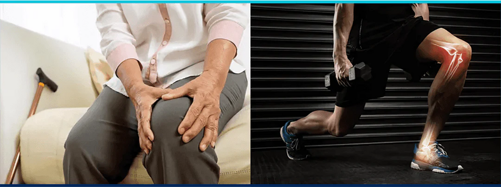 FlexiKnee – Adjustable Knee Protector