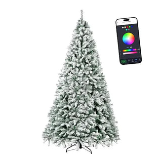Lumina Fir