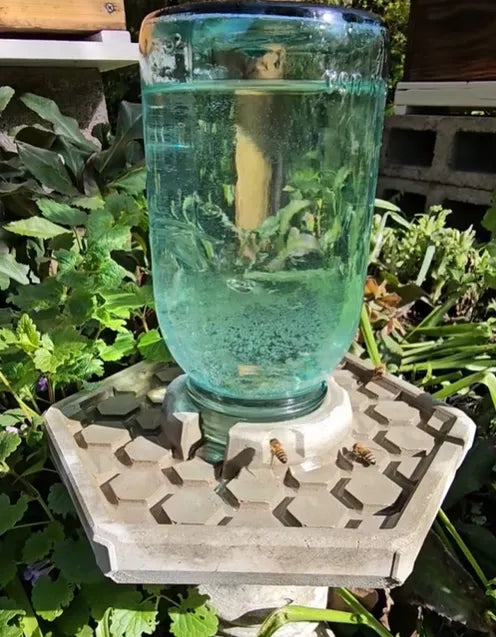 BuzzBloom – Decorative Bee Hydration Spot for Gardens