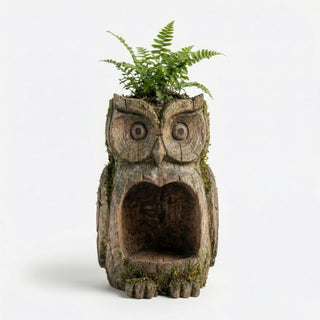 Early Spring Dual-Purpose Plant Owl Guardian-ChicWoo